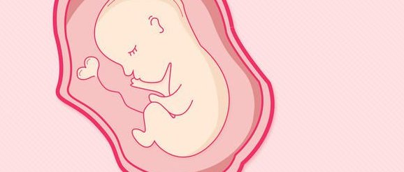 深圳北大做三代试管多少钱？试管婴儿成功率是多少？