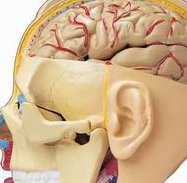 泰国三代试管费用详解，预算规划必备指南