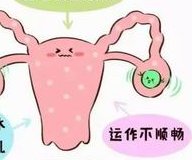 2026年最新天津卵试管婴儿公立医院名单-排队时间明细