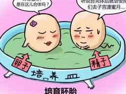 俄罗斯试管婴儿费用全面解析，详尽明细表揭秘
