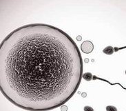 生殖专家给大龄女性做试管婴儿的五点建议，高龄女性试管前必看