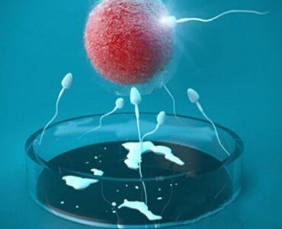 武汉同济医院有卵子做三代试管吗2026卵子三代试管生孩子费用清单